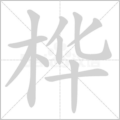 樺字五行|桦字的五行属性